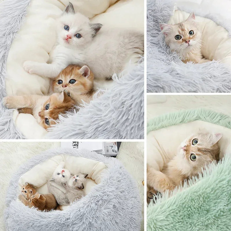 Multiple kittens snuggled inside the WinterPlus™ Enclosed Pet Cat Bed, showcasing its spacious and cozy design for pets.